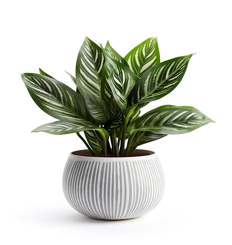 Outros produtinhos que amamos dessert bloom