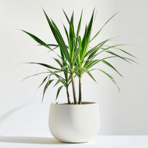 Outros produtinhos que amamos product 05